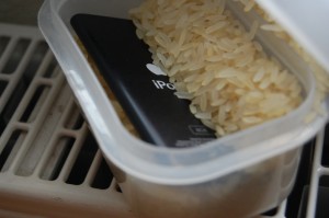 ipod_nano_reispfanne