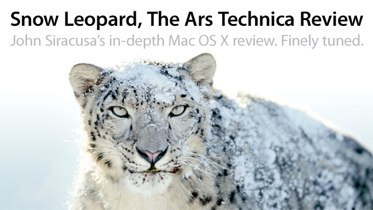 snow_leopard snow_leopard