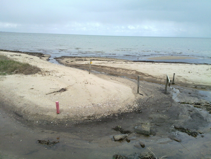 Strandgut